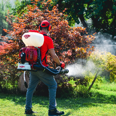 Mist on sale blower sprayer