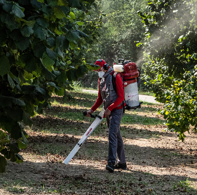 The vacuum for collecting chestnuts and hazelnuts